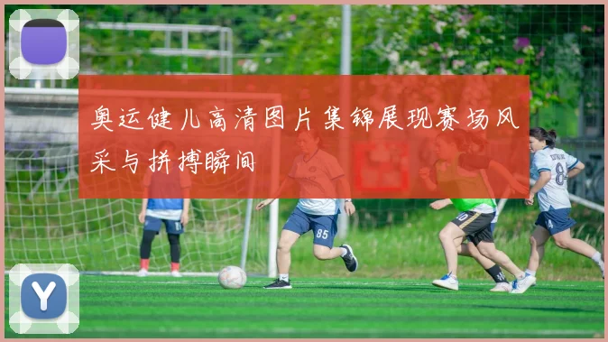 奥运健儿高清图片集锦展现赛场风采与拼搏瞬间