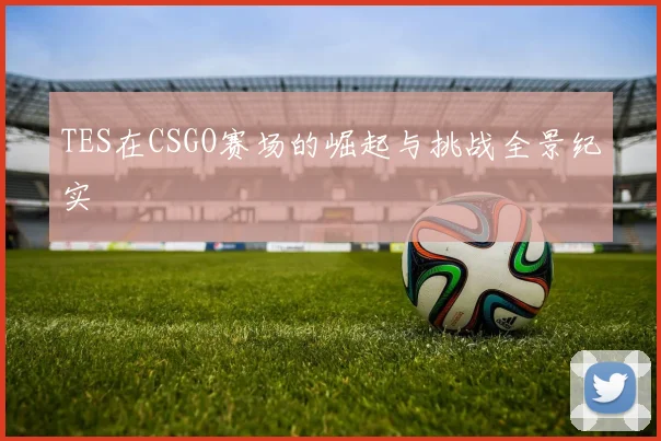 TES在CSGO赛场的崛起与挑战全景纪实